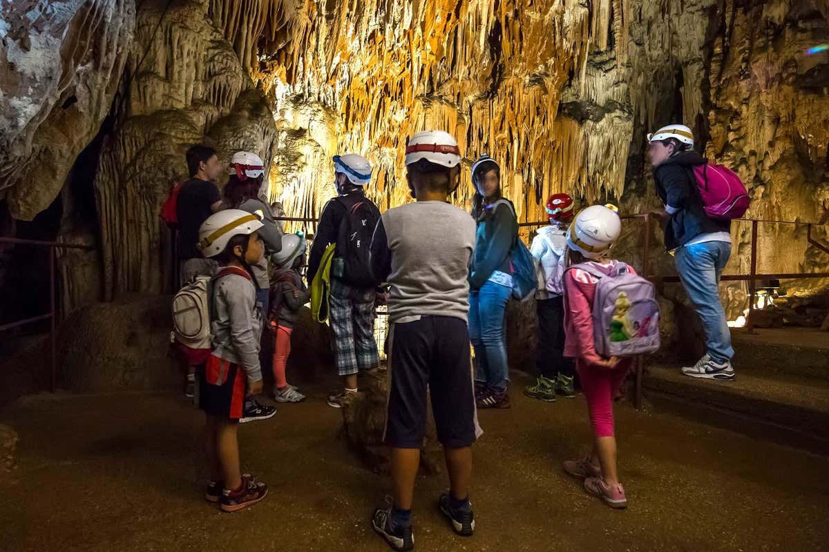 Primavera in famiglia? Ecco tutto quello che si può fare in Friuli-Venezia Giulia Primavera in famiglia? Ecco tutto quello che si può fare in Friuli-Venezia Giulia